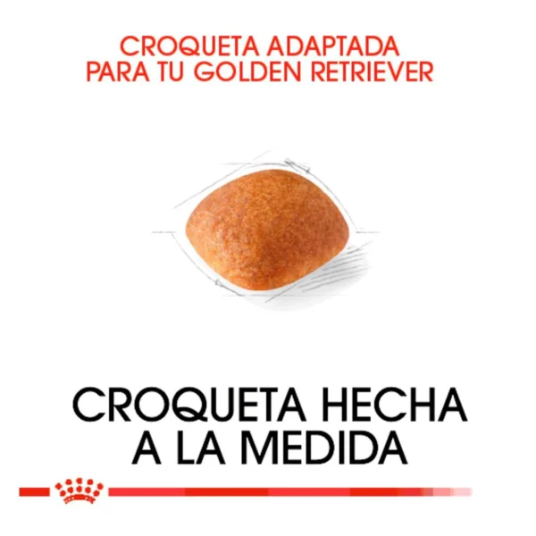 Royal Canin Alimento Seco para Perro Adulto Raza Golden Retriever, 13.6 kg - Image 2