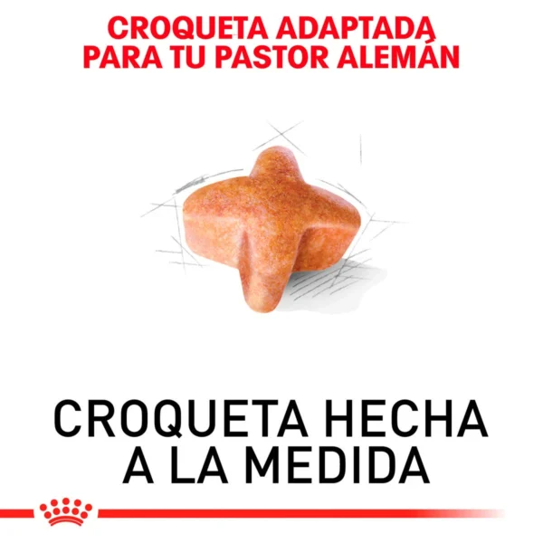 Royal Canin Alimento Seco para perro Adulto Raza Pastor Alemán, 13.6 kg - Image 2