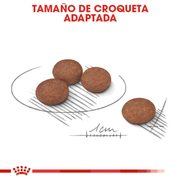 Royal Canin Special Alimento Seco para Perro Adulto con Estomago Sensible Raza Pequeña, 1.6 kg - Image 2