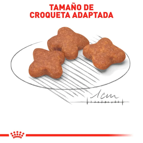Royal Canin Alimento Seco para Perro Senior Raza Pequeña, 1.1 kg - Image 2