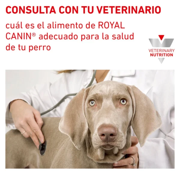 Royal Canin Veterinary Diet Alimento Seco Proteína Hidrolizada para Perro Adulto Raza Pequeña, 3.5 kg - Image 7