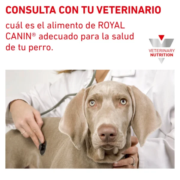 Royal Canin Veterinary Diet Alimento Seco Gastrointestinal para Cachorro, 4 kg - Image 7