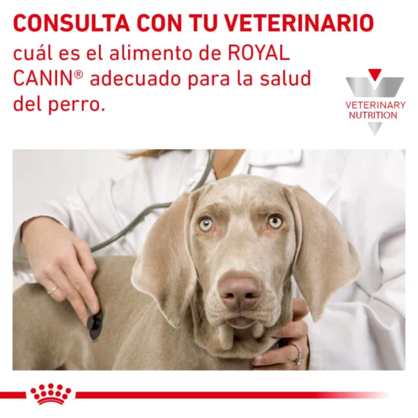 Royal Canin Veterinary Diet Alimento Seco Soporte Renal S Perro Adulto 8 kg - Image 9