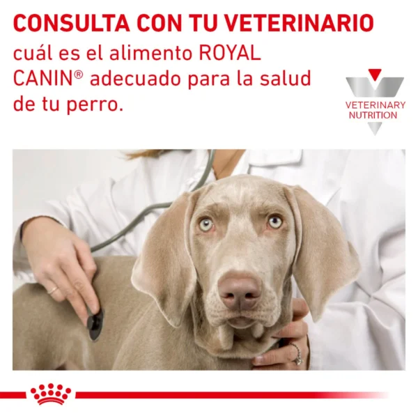 Royal Canin Veterinary Diet Alimento Seco para Salud Cardiaca para Perro Todas las Edades, 8 kg - Image 7