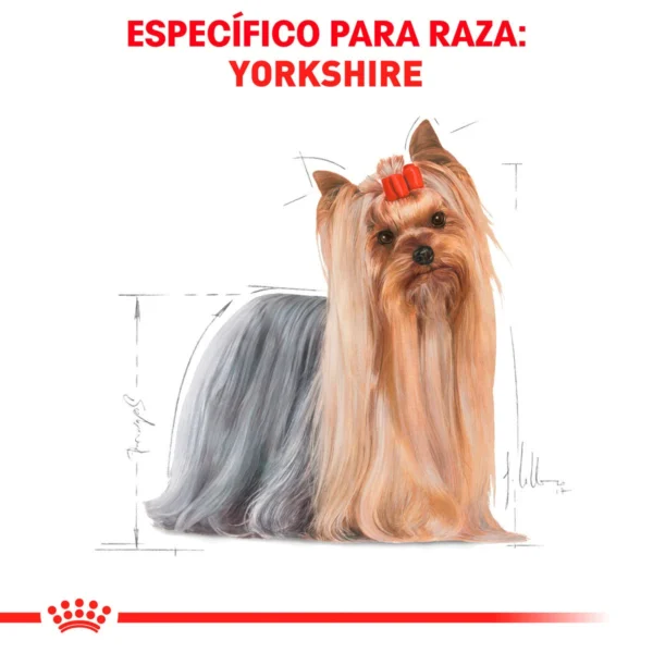 Royal Canin Alimento Seco para Perro Adulto Raza Yorkshire Terrier, 4.5 kg - Image 4